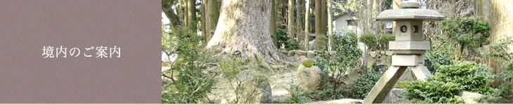 境内のご案内