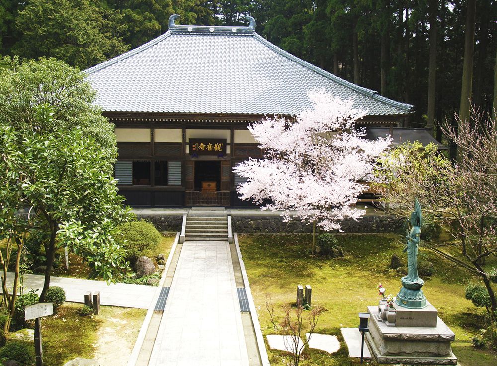 観音寺 法堂と桜