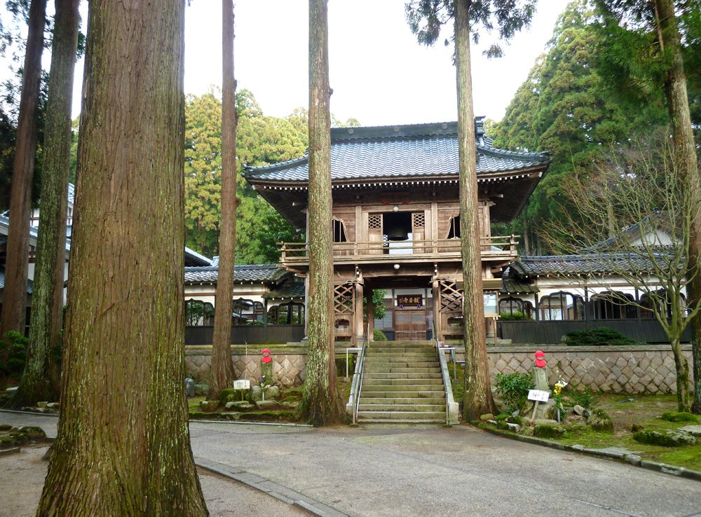 観音寺 杉木立と山門
